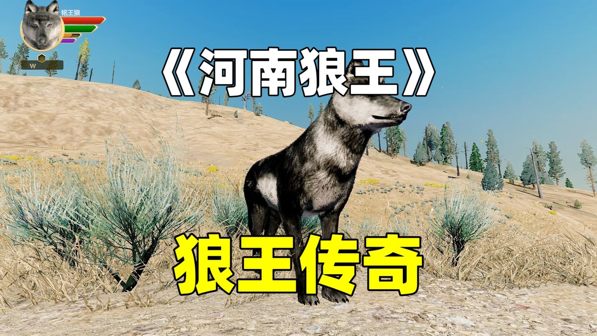 狼王传奇,俺是要成为狼王的男人!-小铭爱玩-小铭爱玩-哔哩哔哩视频