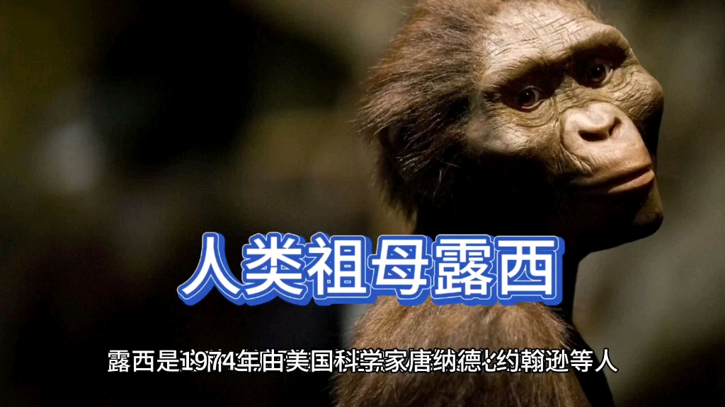 人类祖母露西的化石是如何保存下来的?