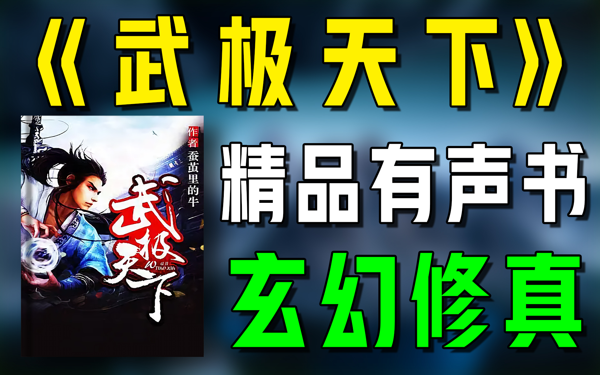 精品有声书《武极天下》全集|超爽有声书|一次性看个够|听书|有声小说|有声读物哔哩哔哩bilibili