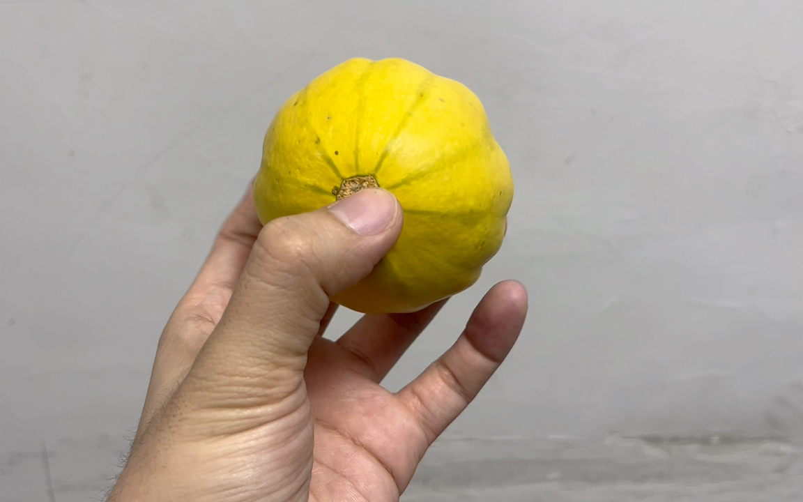 墨西哥七彩葫芦