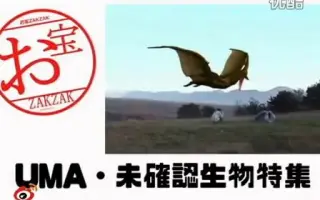 未確認生物 搜索结果 哔哩哔哩 Bilibili