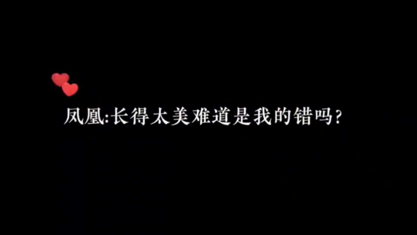 【提灯映桃花】哔哩哔哩bilibili