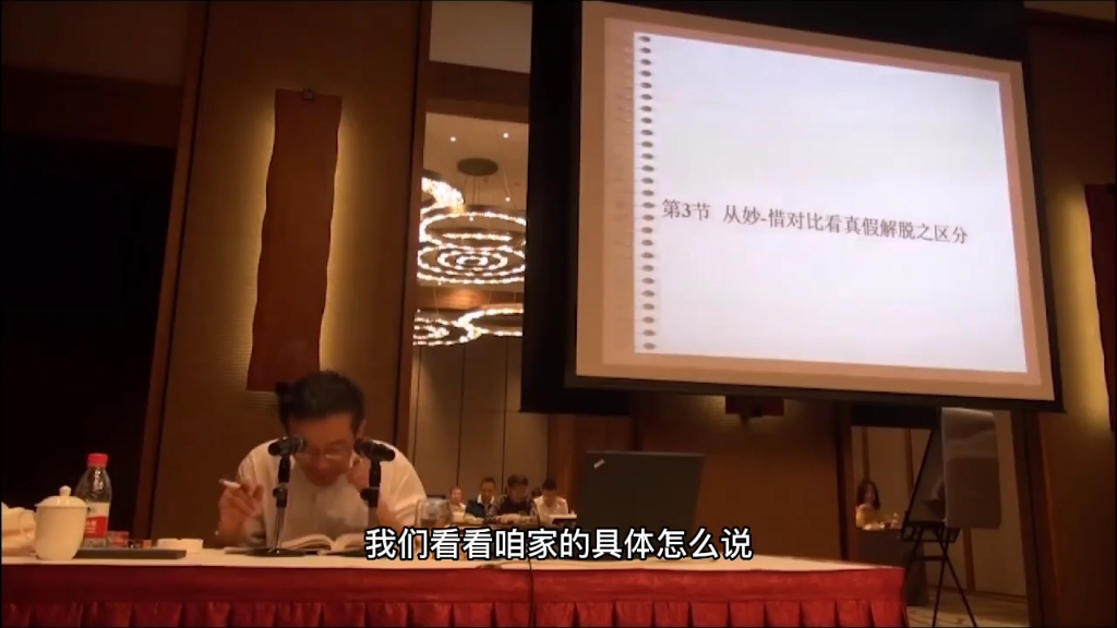 王德峰讲红楼梦cut17有字幕