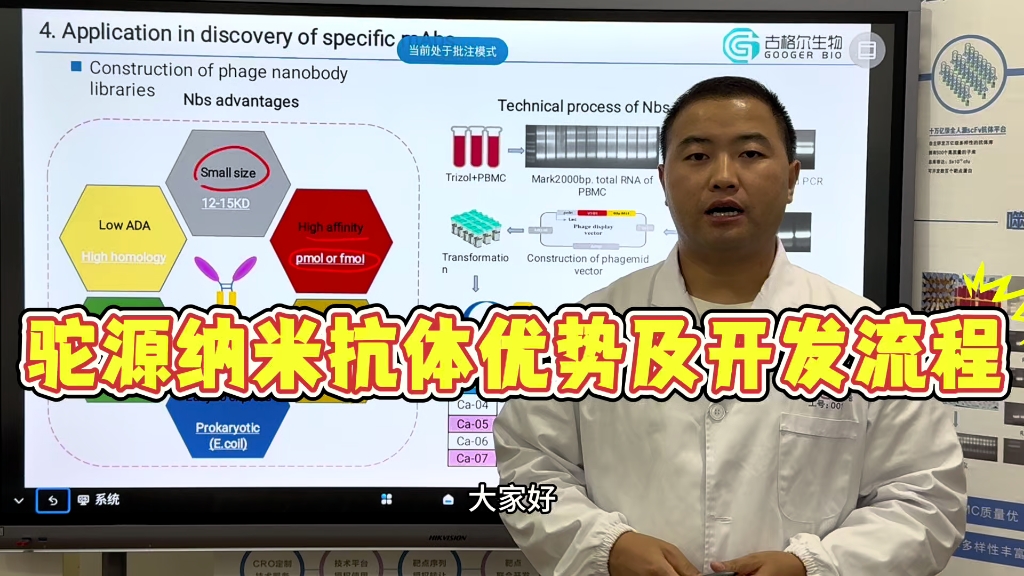 一个视频带你了解驼源纳米抗体优势及噬菌体展示库技术流程哔哩哔哩bilibili