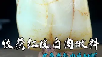 我很少买做料，但是今天收的这个做料是真不错肉质细腻，老气的皮色让人爱不释手。