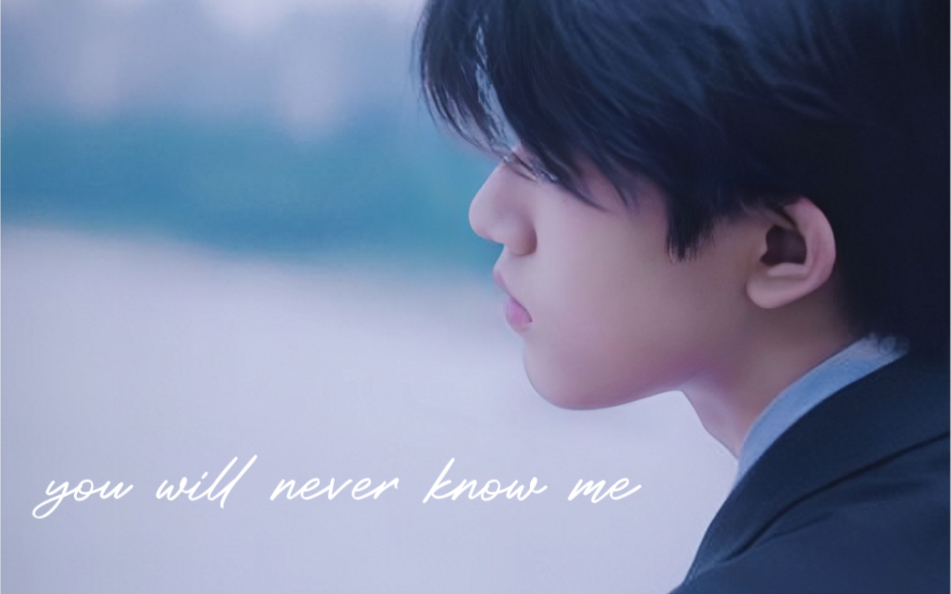 [图]【张极】大海 玫瑰 希望 理想 张极 | you will never know me《异乡人》