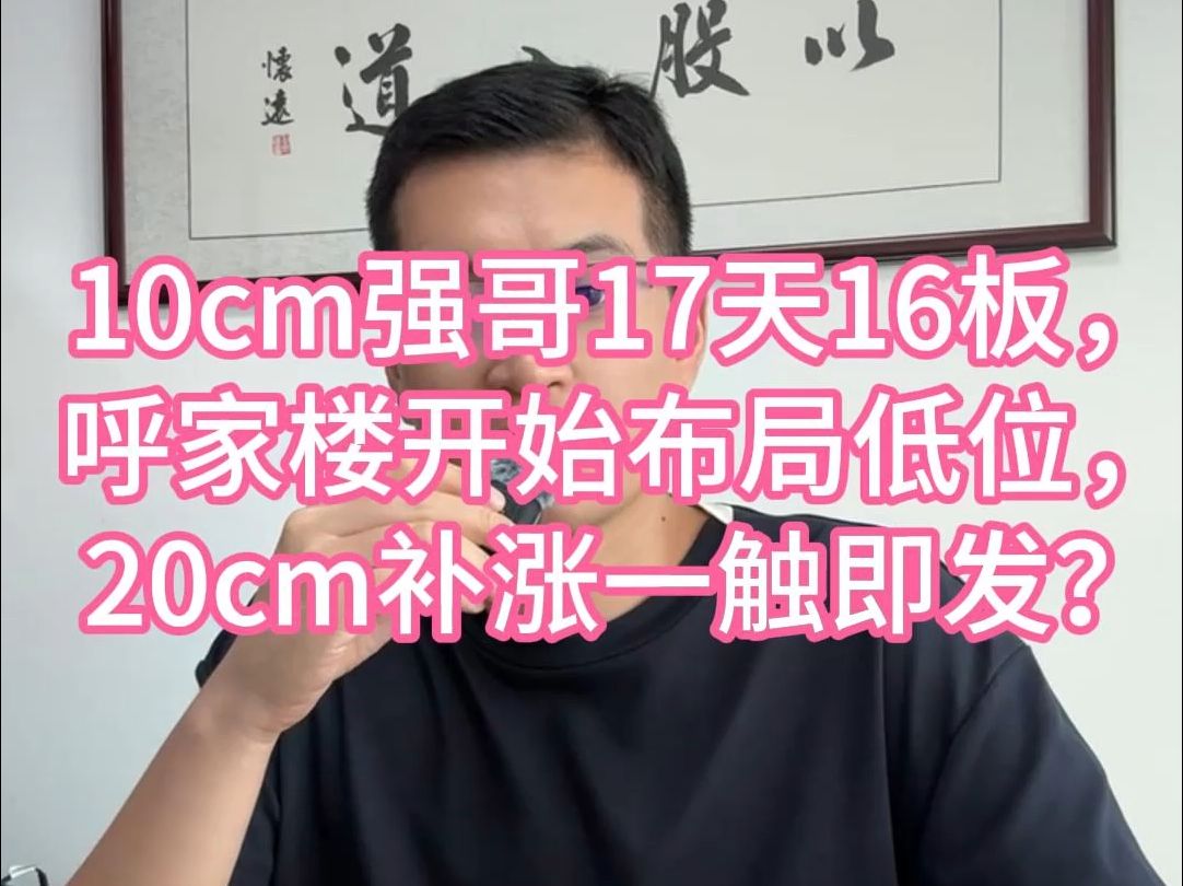 10cm强哥17天16板,呼家楼开始布局低位,20cm补涨一触即发?哔哩哔哩bilibili