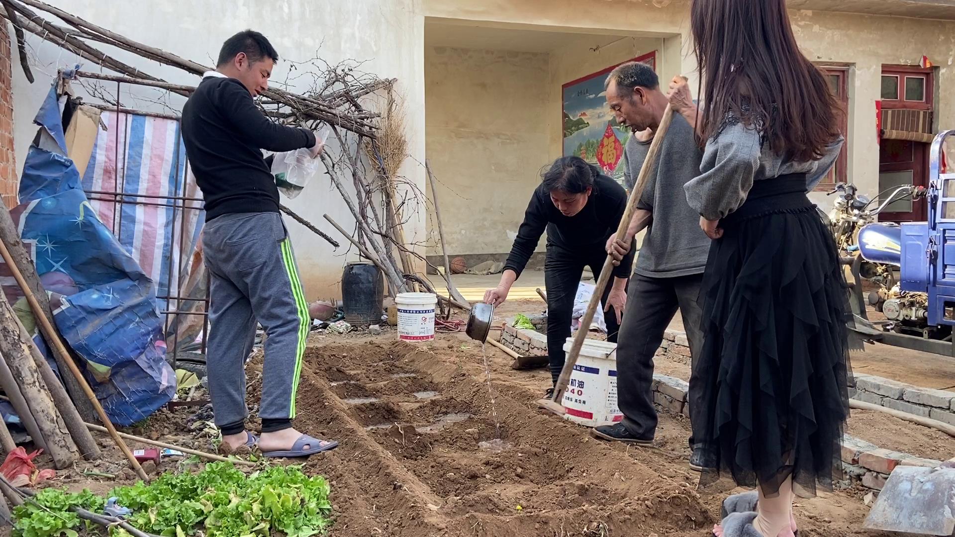 农家小院改造第4天,凌云宝贝第一次种菜,被凌云笑没见过世面