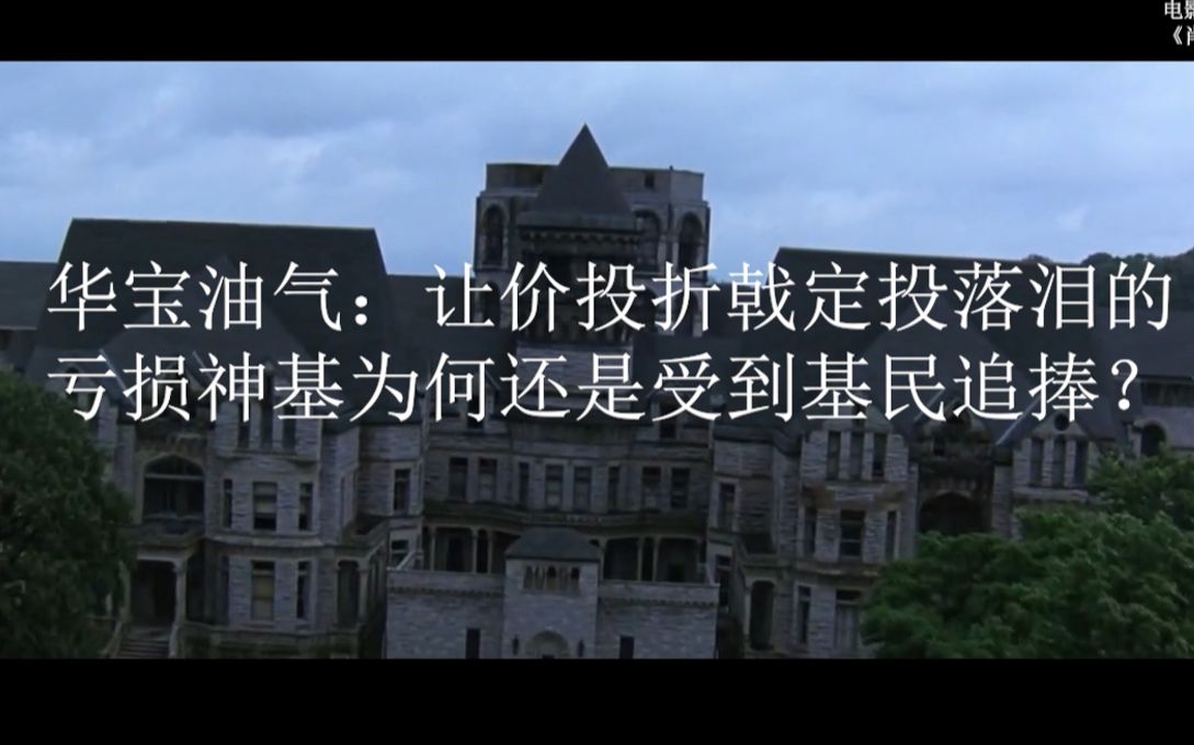 华宝油气:让价投折戟定投落泪5年亏80%的神基为何还是受到基民追捧?哔哩哔哩bilibili