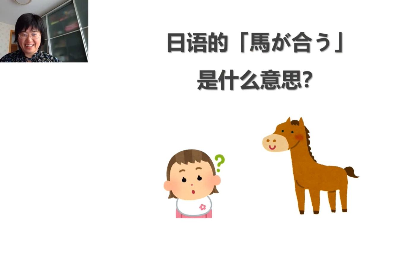 日语的「马が合う」是什么意思?哔哩哔哩bilibili