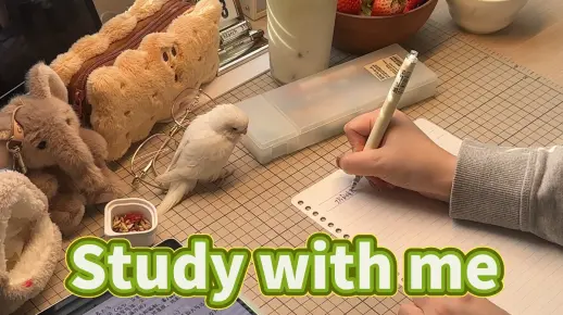 Study with me原速伴学视频35分钟_哔哩哔哩_bilibili