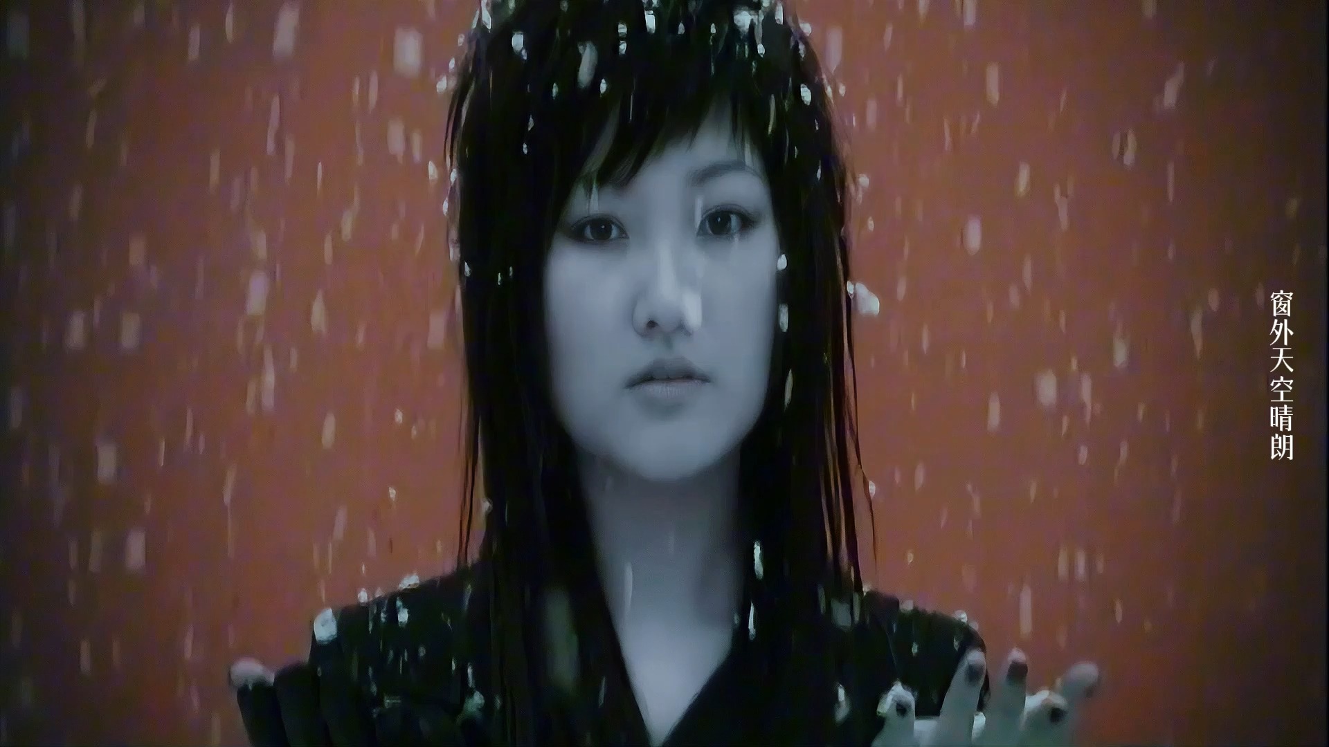 阳光下的星星-金海心(重制版)