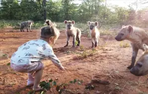 下载视频: 金•沃尔胡特陪同女儿琪琪与鬣狗幼崽一起玩耍