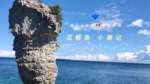 到处是蛇的花瓶岛 哔哩哔哩 Bilibili 到处是蛇的花瓶岛 哔哩哔哩 Bilibili