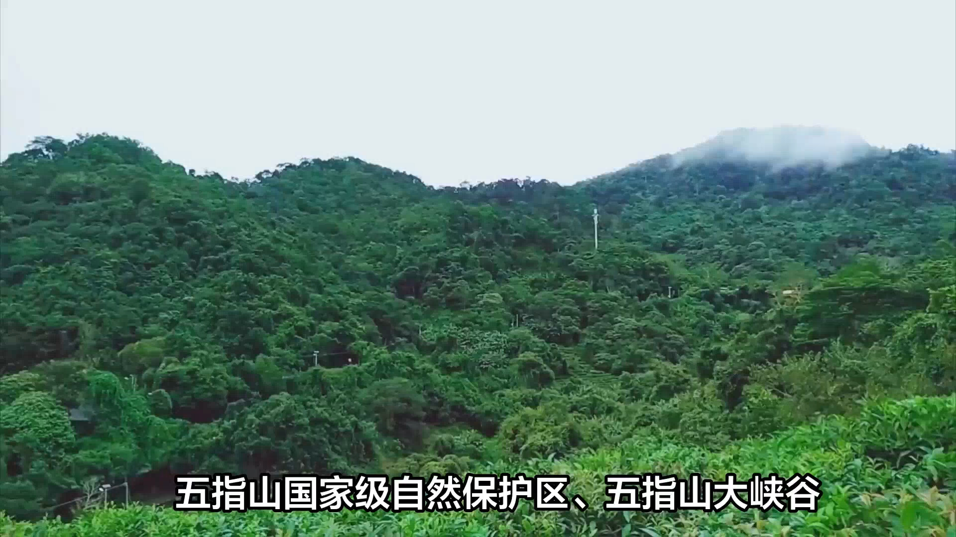 海南五指山景区