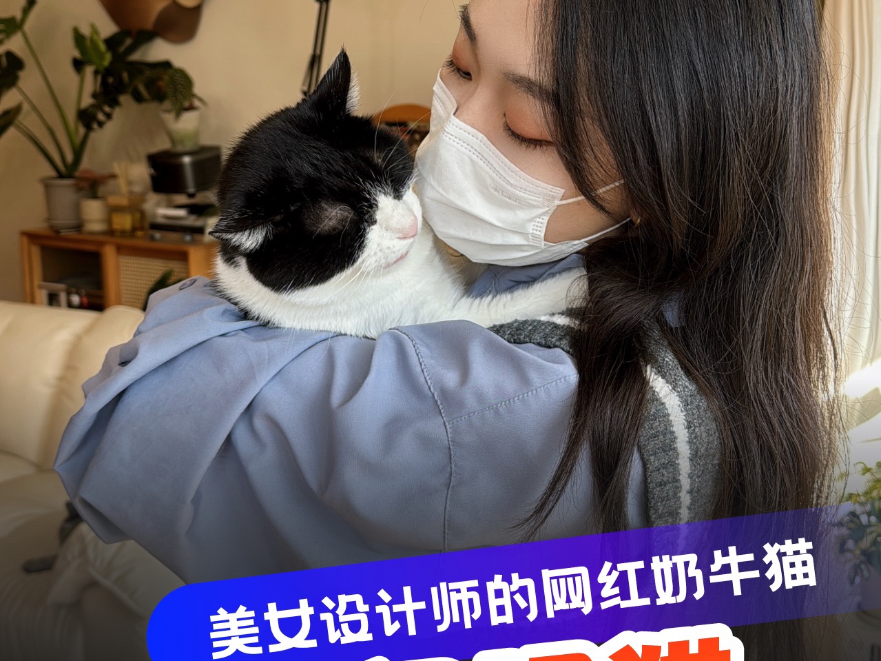 美女设计师家的网红奶牛猫,该视频所拍内容及发布均获得用户同意哔哩哔哩bilibili