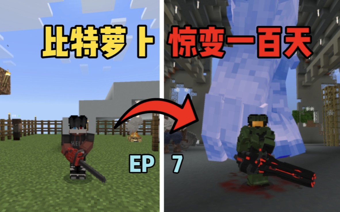 比特萝卜惊变一百天(7)