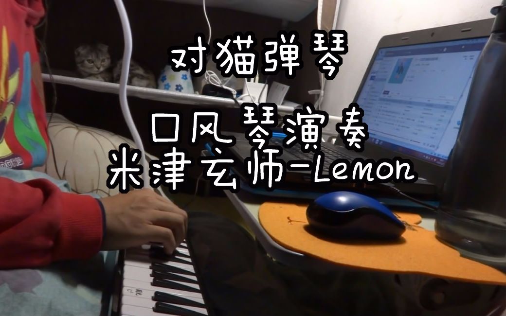 对猫弹琴口风琴演奏米津玄师lemon