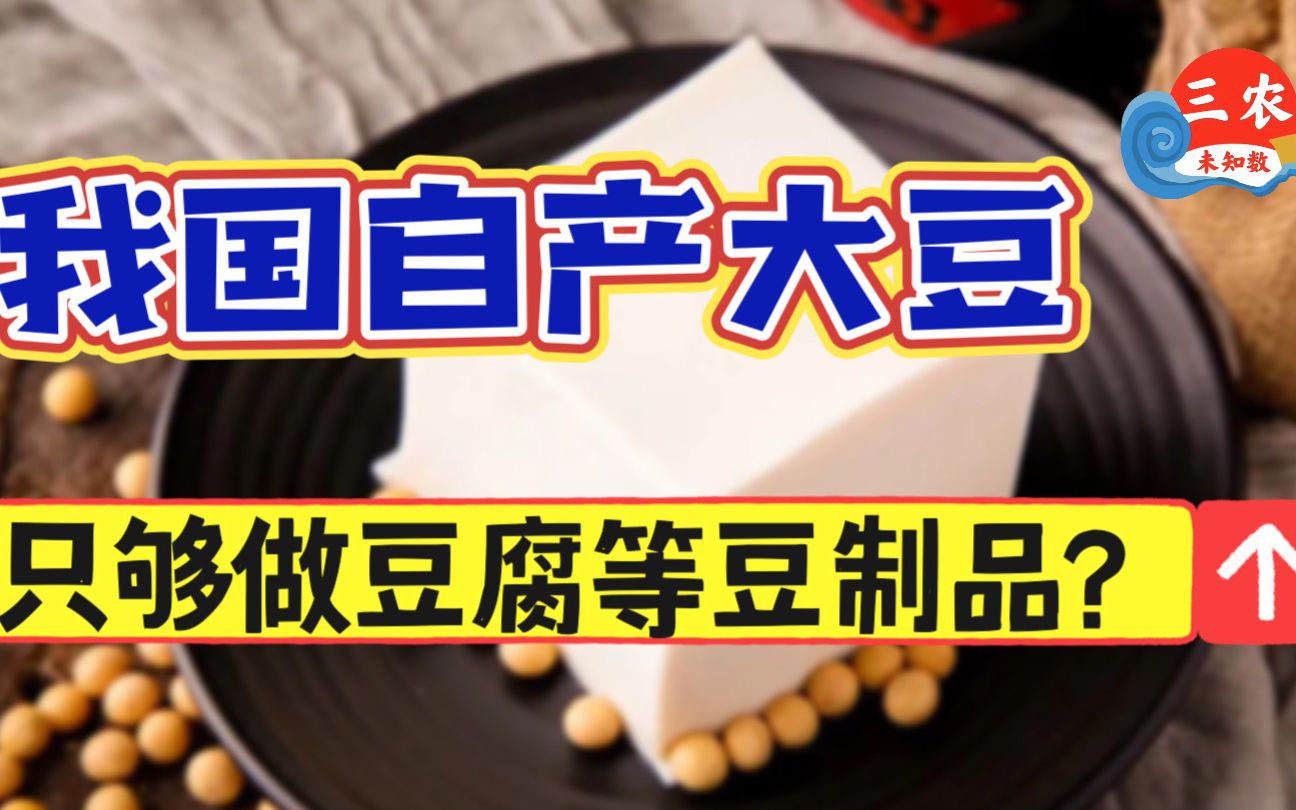 三农未知数丨我国大豆不能自给自足?自产大豆只够做豆腐等豆制品?哔哩哔哩bilibili