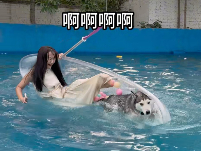 欢迎收看三只哈士奇的六一儿童节