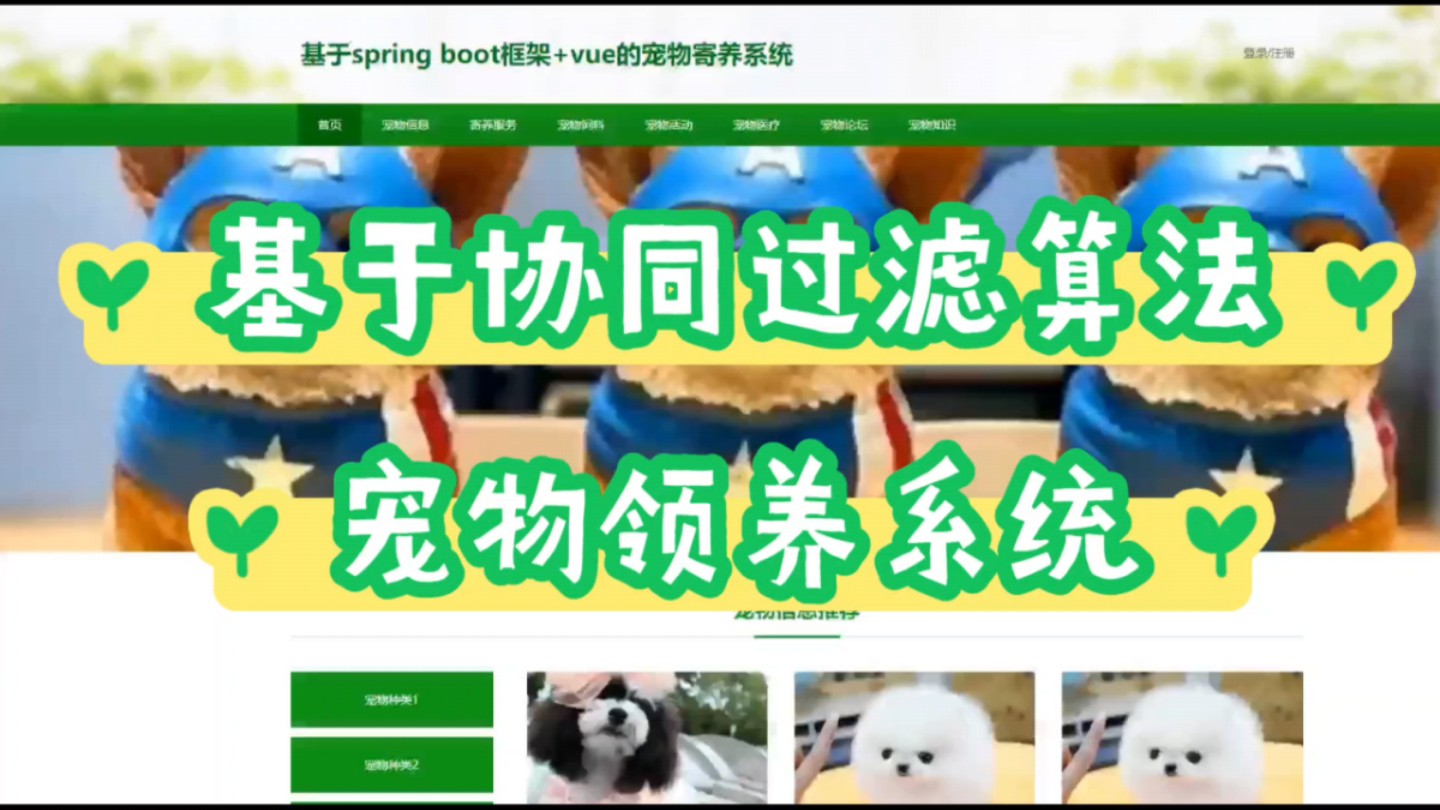 宠物领养系统+推荐算法基于Springboot+Vue的宠物寄养系统,宠物网站系统,宠物管理系统 可用于毕业设计哔哩哔哩bilibili