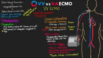 下载视频: 【ICU医生的精进】ECMO（二）——VV和VA ECMO的解释