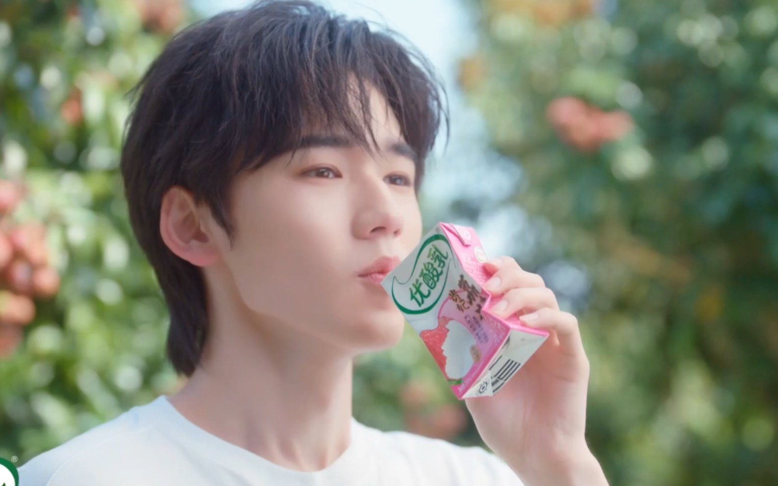 【宋亚轩】优酸乳贵妃荔枝&如意杏子广宣 宋亚轩cut