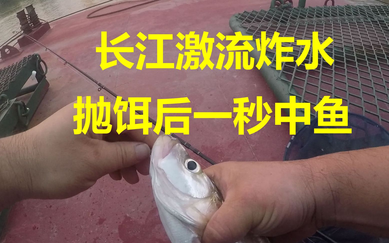 长江翘嘴炸水,这款饵像变魔术,放下去就中鱼