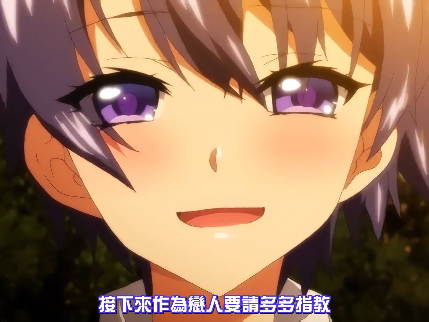 雷火剑73合集共229部