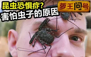 Download Video: 为什么怕虫? 飞蛾为什么在灯下乱飞?南方蟑螂多可怕？【萝王问号第一期】