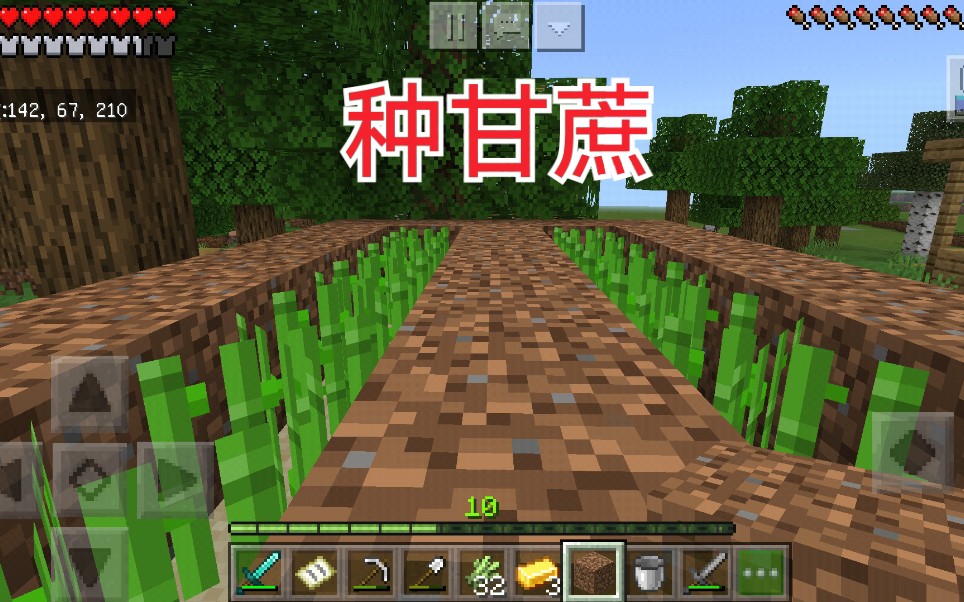 我的世界这年头种甘蔗也那么不容易呀