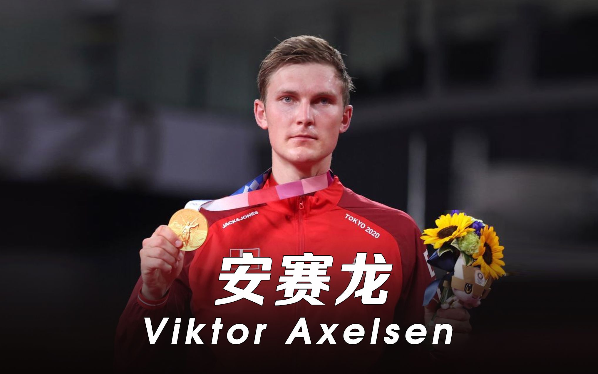 安赛龙 Viktor Axelsen哔哩哔哩bilibili