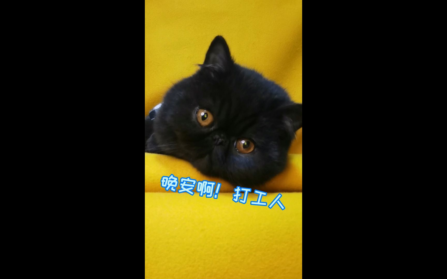 晚安啦打工人