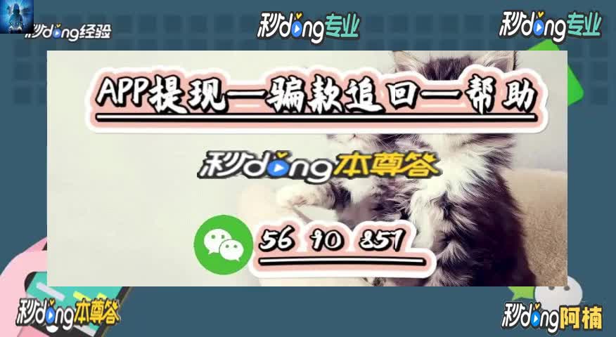 "23分锺讲解" 乐猫科技app不可信不靠谱短短几天损失巨大