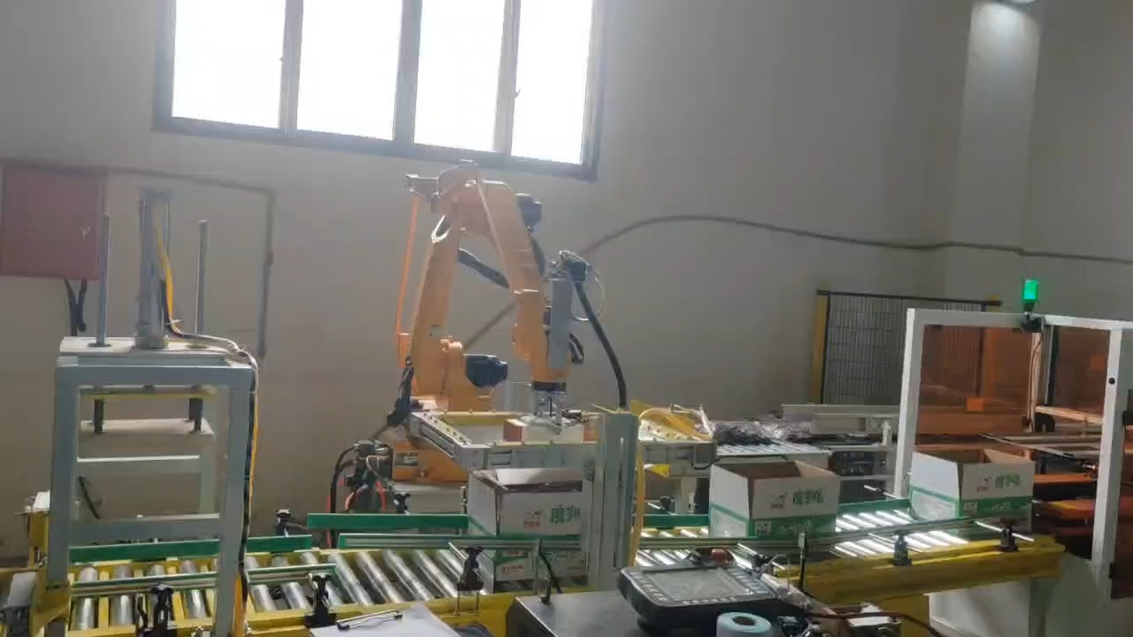 食品装箱码垛机器人协作码垛机械手全自动码垛机