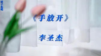 下载视频: 《手放开》-李圣杰