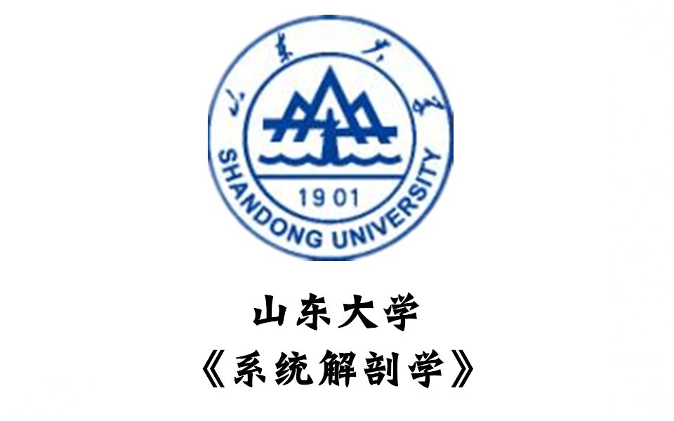 【布谷鸟乐学堂】《系统解剖学》有目录山东大学公开课精品课程哔哩哔哩bilibili