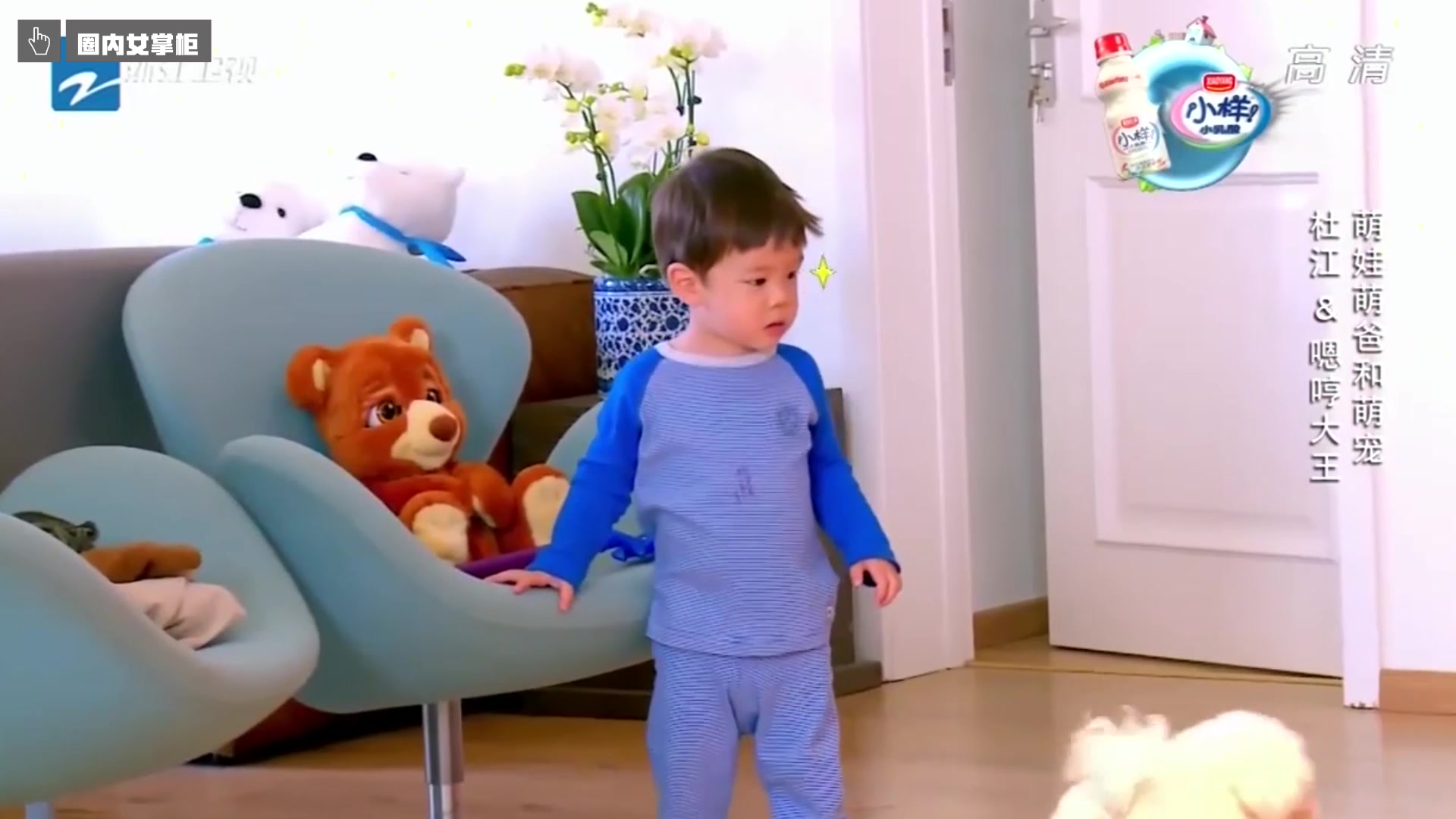 嗯哼家的狗狗太可爱了!骆驼每天和嗯哼演相爱相杀!