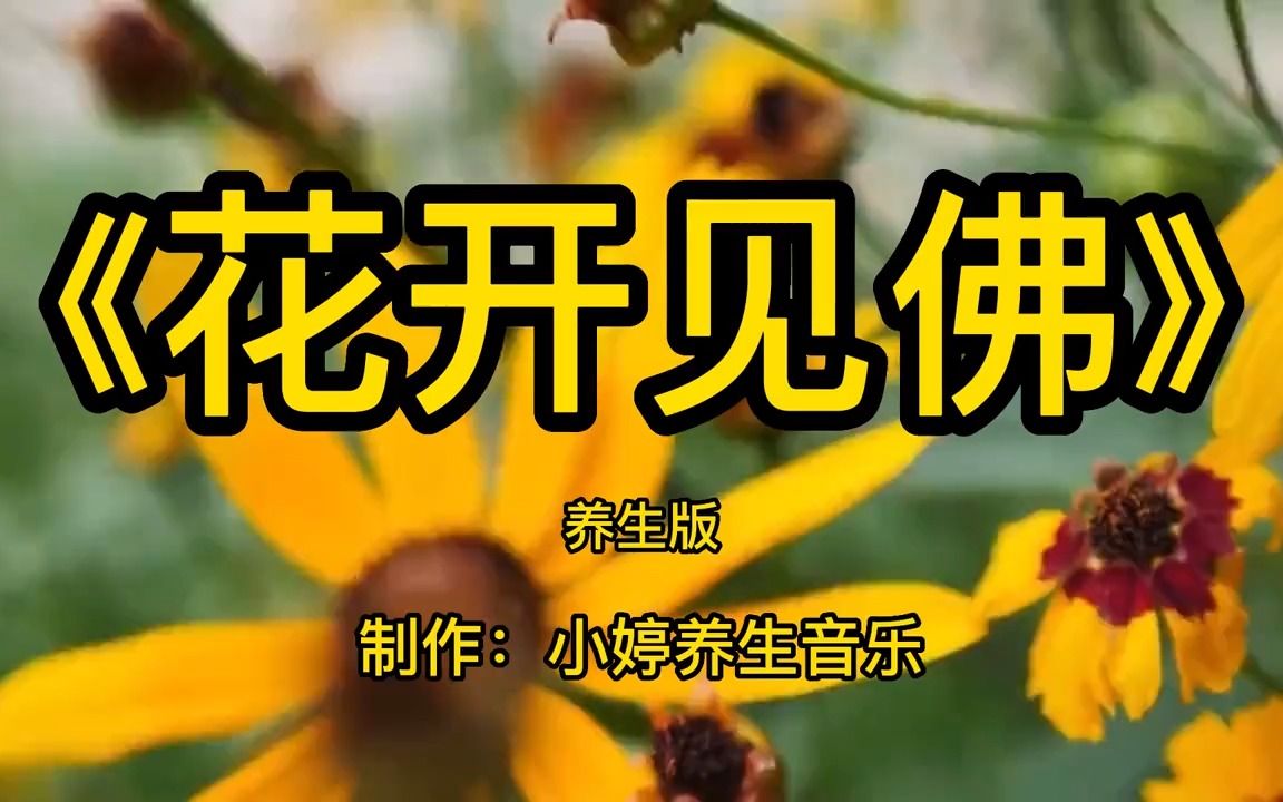 [图]顶级纯音乐《花开见佛》推荐古琴箫曲加长版，空灵脱俗，心若无尘