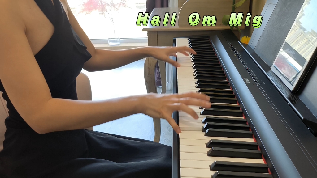 [图]高燃战歌《 Hall Om Mig 》