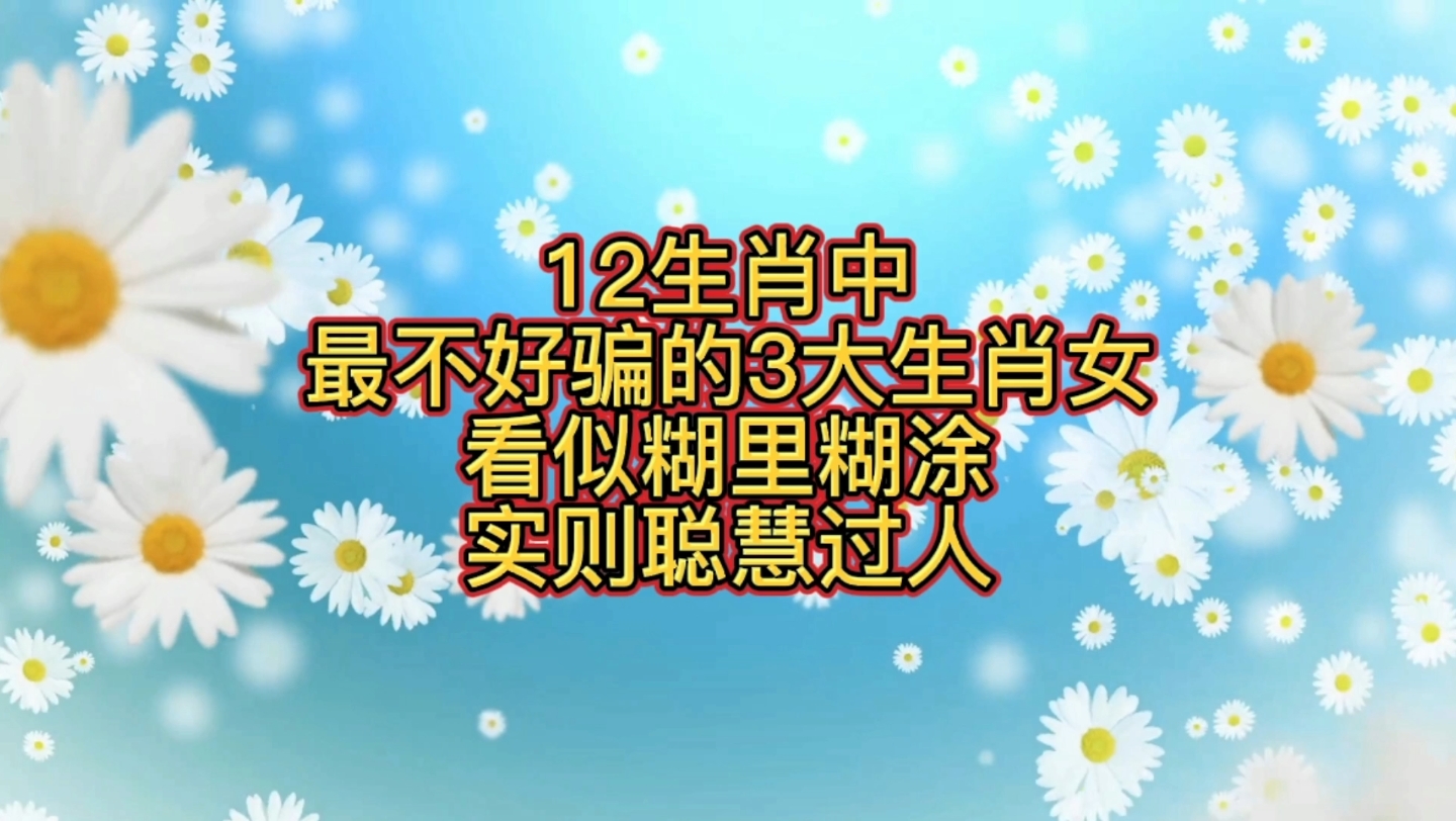 12生肖中,最不好骗的3大生肖女,看似糊里糊涂,实则聪慧过人哔哩哔哩bilibili