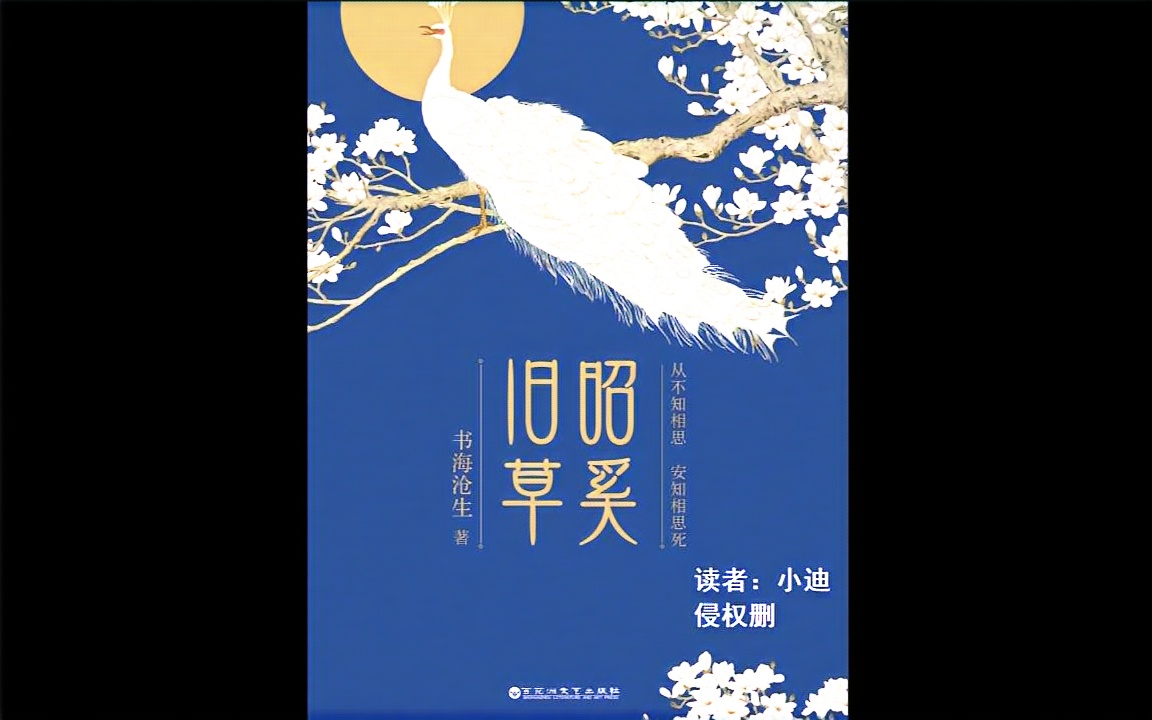 【有声小说】唐迪《昭奚旧草·引》