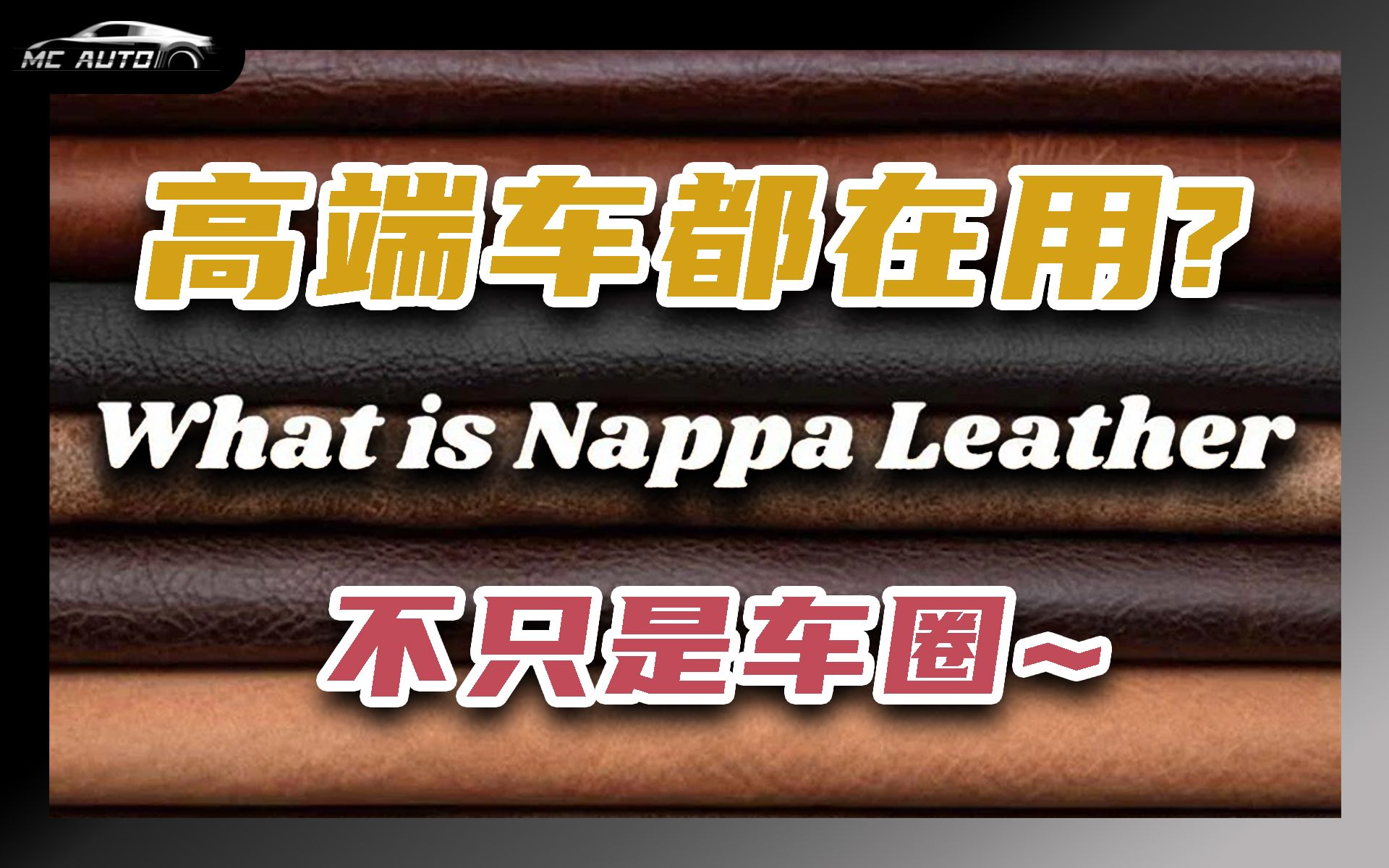 为啥高端车都爱用? 何为Nappa? 高端皮革代名词?哔哩哔哩bilibili