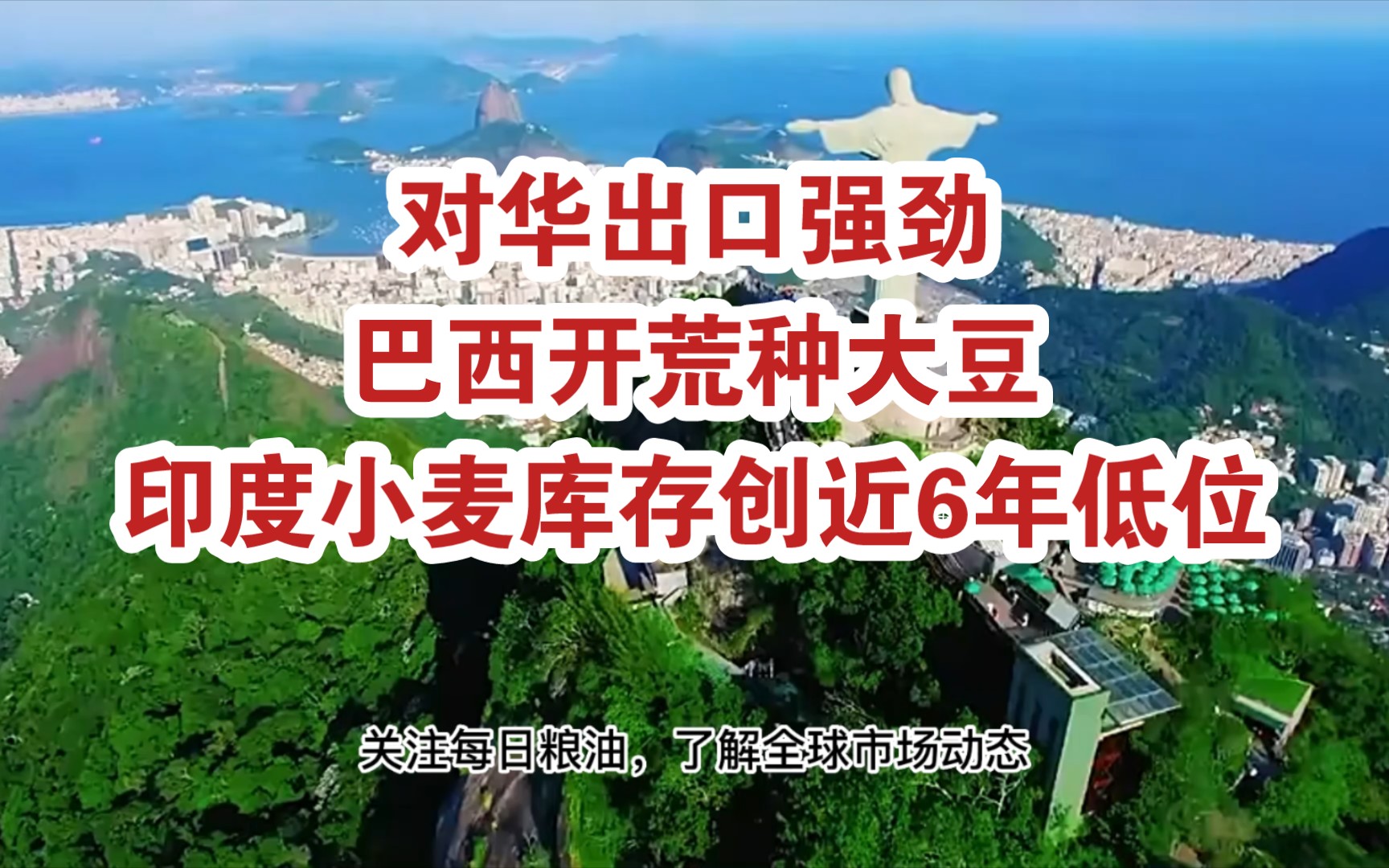 每日粮油:全球主要粮食生产消费国近段时间变化情况;对华出口强劲巴西开荒种大豆,印度小麦库存创近6年低位哔哩哔哩bilibili