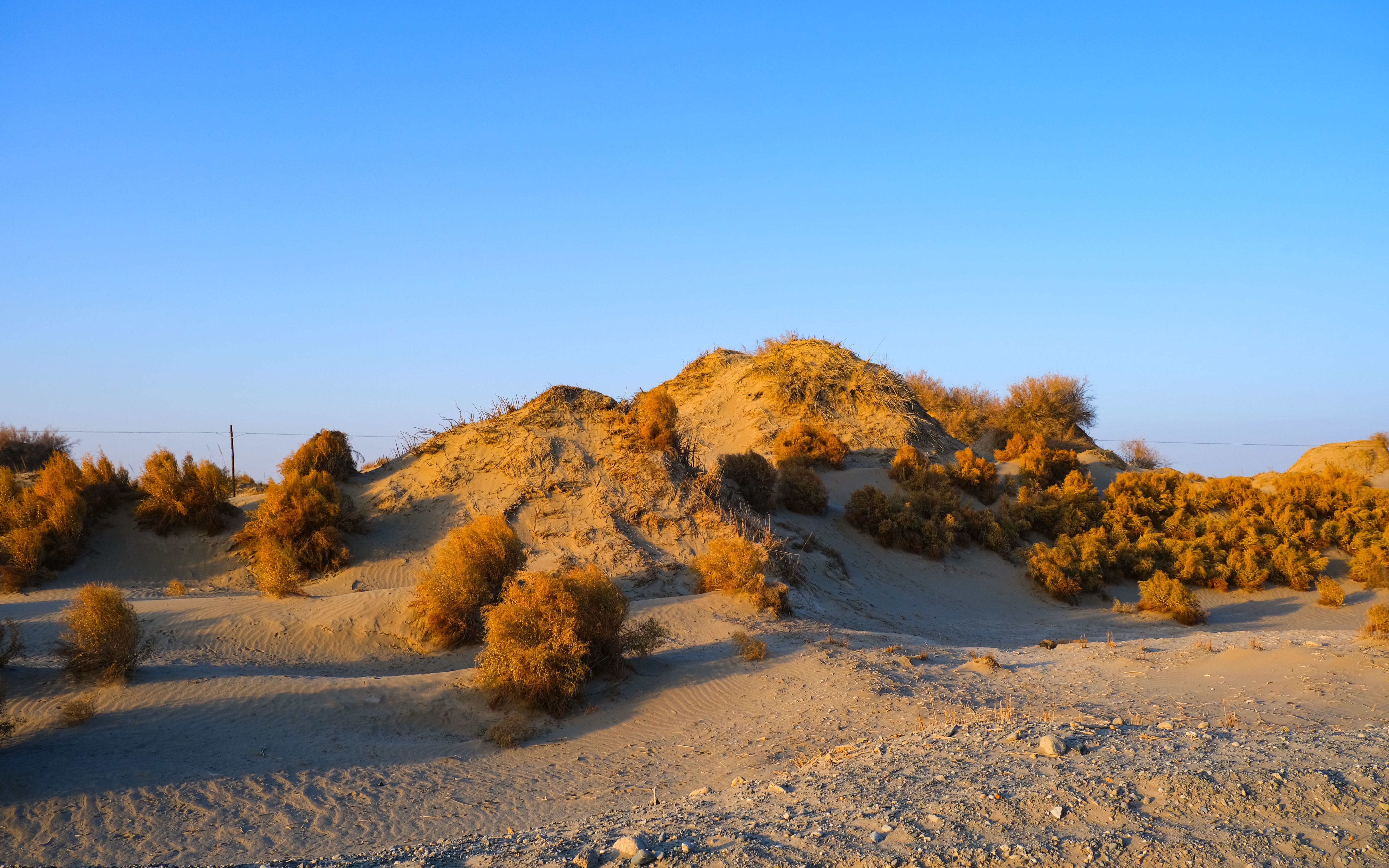 新疆若羌县戈壁滩捡玉的一天,第四天终于又体验到了有网络的快乐