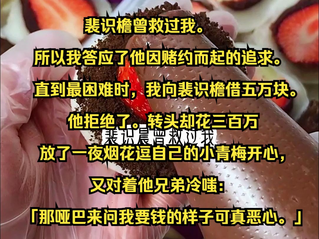 裴识檐曾救过我. 所以我答应了他因赌约而起的追求. 直到最困难时,我向裴识檐借五万块. 他拒绝了. 转头却花三百万放了一夜烟花逗自己的小青梅开心...