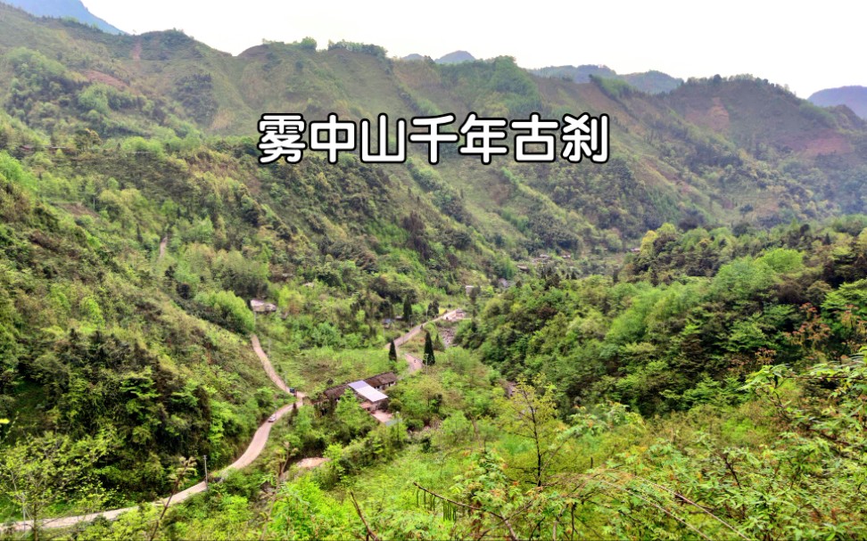 成都大邑雾中山,探访千年古刹接王寺与开化寺,真乃天下无双也_哔哩