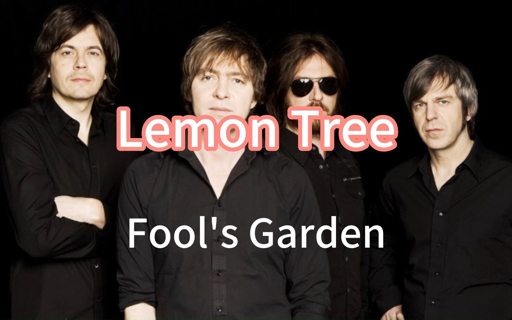lemon tree——fools garden英文教学歌词版
