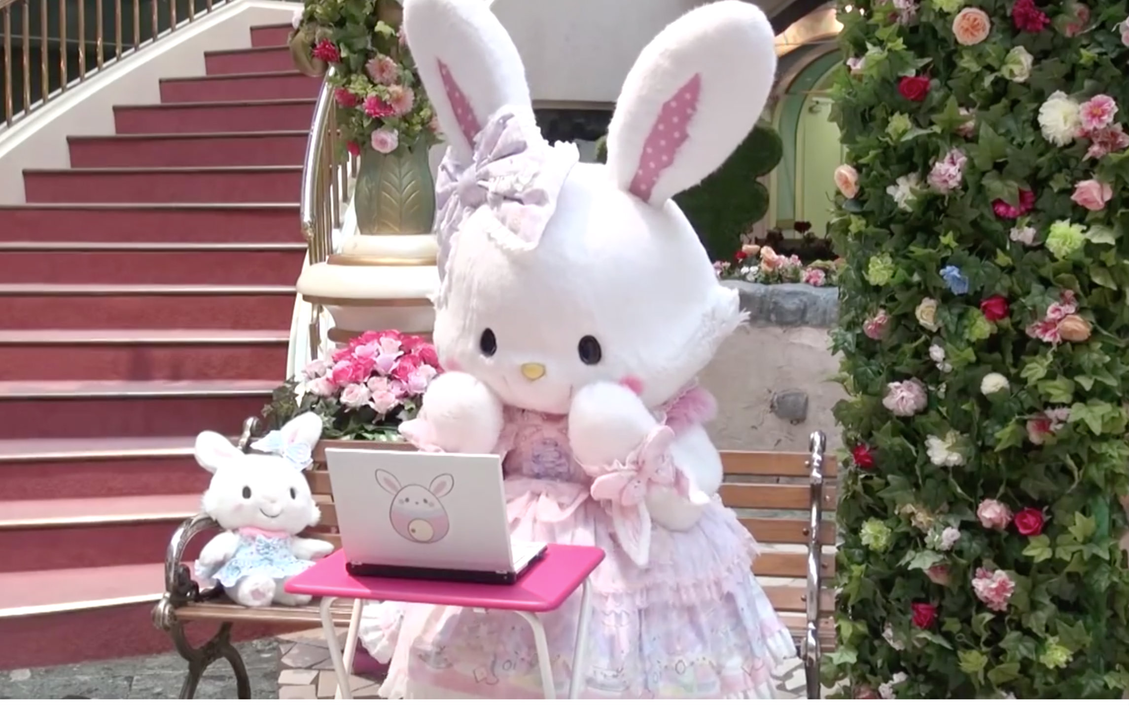 【wish me mell】wish me mell 的照片墙