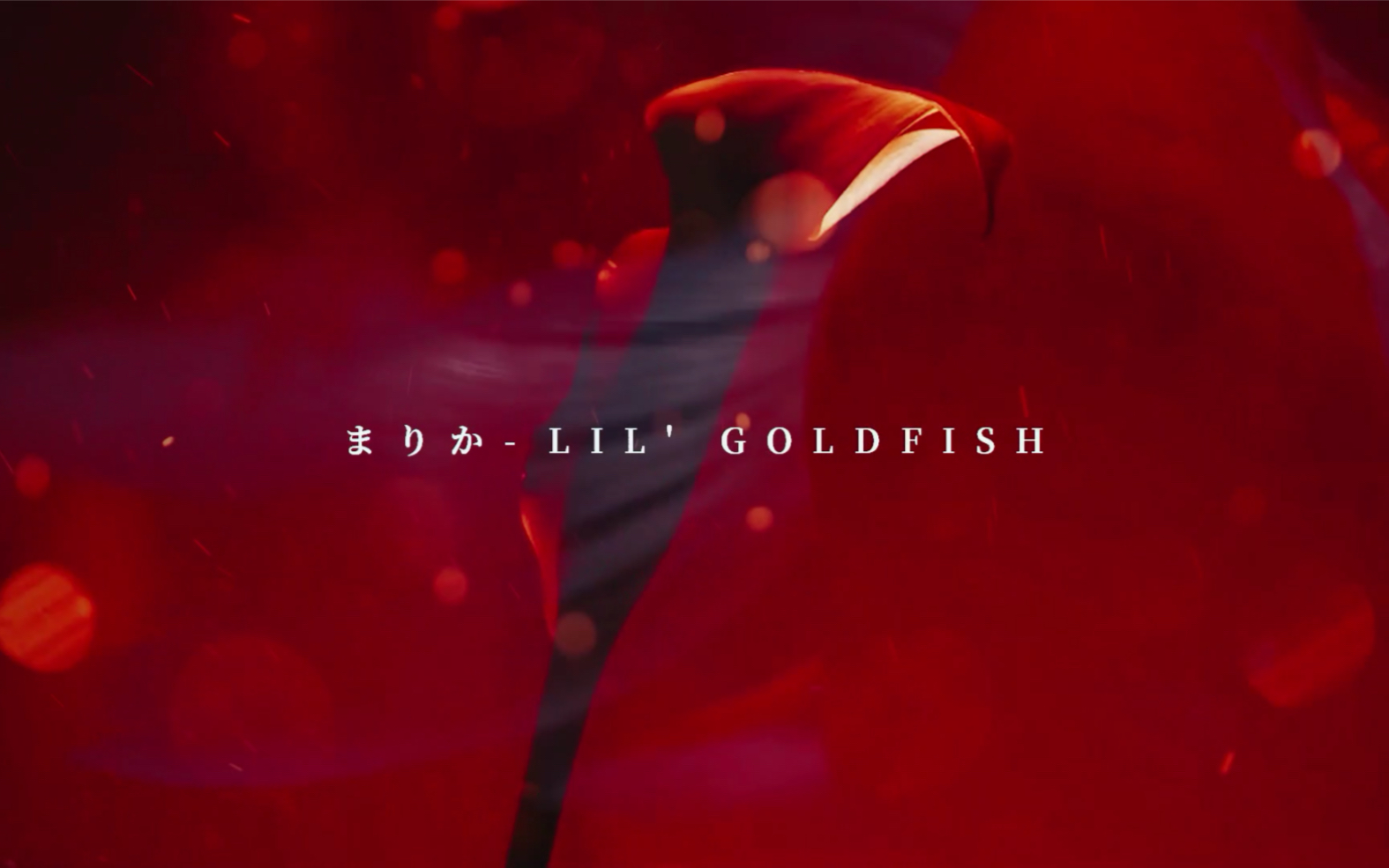 七五折//《lilgoldfish》顏向